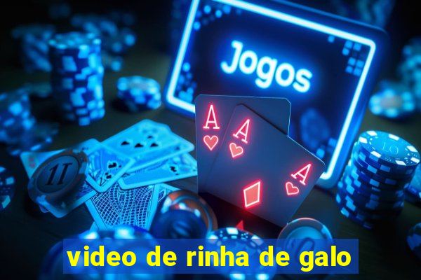 video de rinha de galo